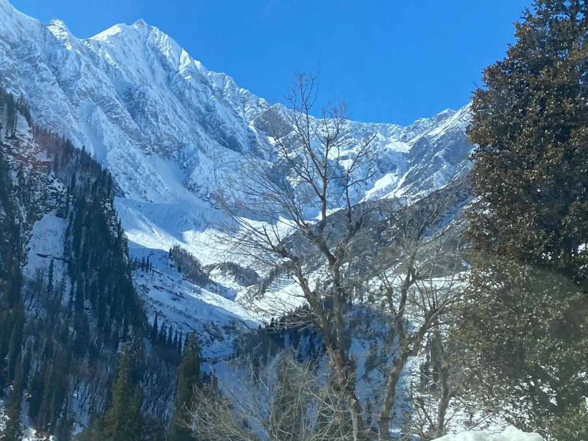Solang Valley Resort Manāli Dış mekan fotoğraf