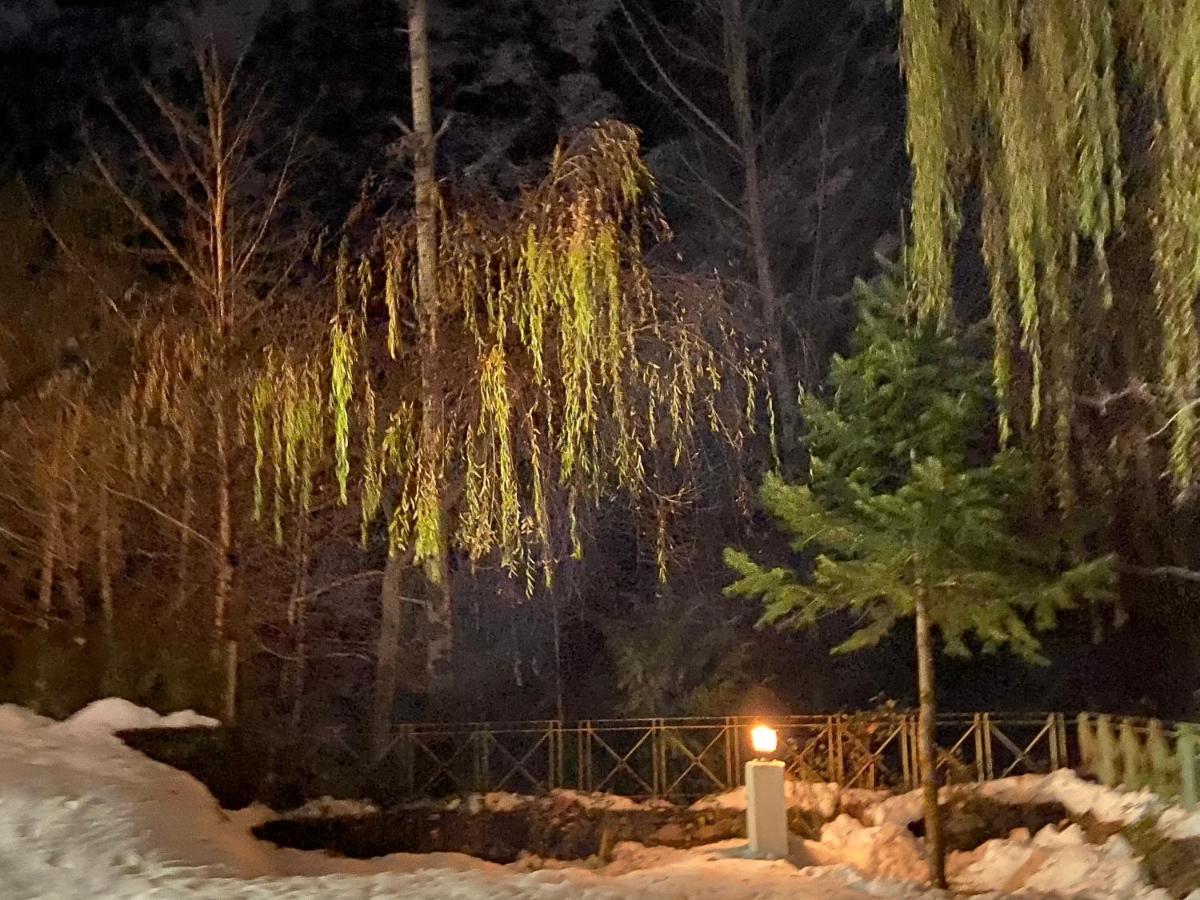 Solang Valley Resort Manāli Dış mekan fotoğraf