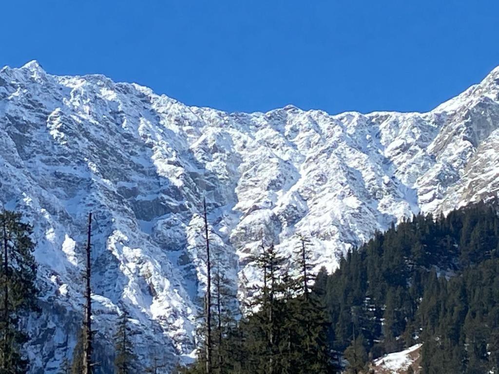 Solang Valley Resort Manāli Dış mekan fotoğraf
