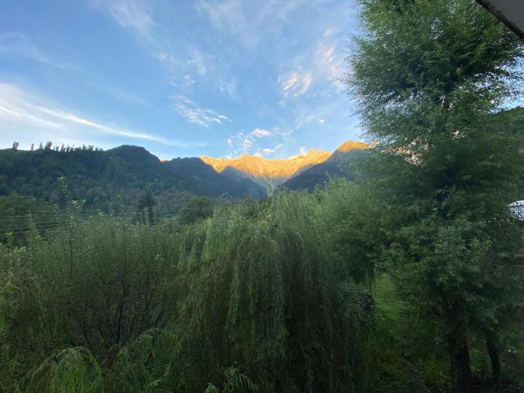 Solang Valley Resort Manāli Dış mekan fotoğraf